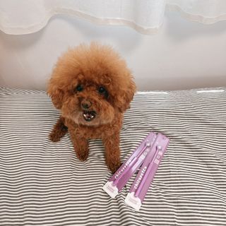 조이님이 올린 리뷰 사진 1