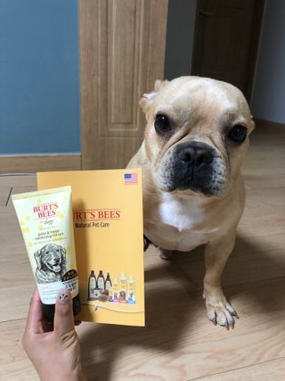 버츠비 케어플러스 릴리빙포앤노즈로션 — 5점을 준 리뷰어가 2021년 4월 올린 사용 사진