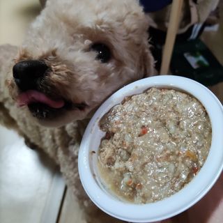 언니의호기심님이 올린 리뷰 사진 1