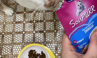 비타크래프트 고양이 수프 50g 3가지맛 x4팩씩 총 12팩 — 4점을 준 리뷰어가 2021년 8월 올린 사용 사진