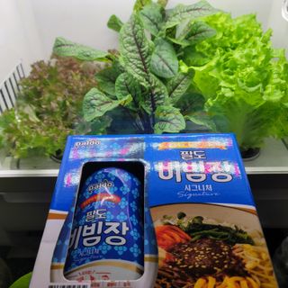 팔도비빔장 시그니처 380g 2개 — 5점을 준 리뷰어가 2022년 2월 올린 사용 사진