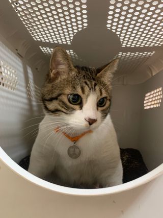 류하님이 올린 리뷰 사진 1