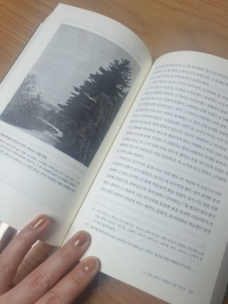 꽃다운하늘맘님이 올린 리뷰 사진 2