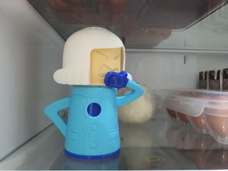 텃새님이 올린 리뷰 사진 2
