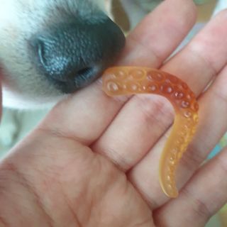beaglelove님이 올린 리뷰 사진 3