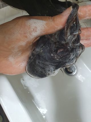 아코맘님이 올린 리뷰 사진 2