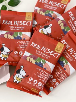 [푸디웜] 라포그  리얼인섹트 관절 저알러지 강아지 사료  1.2KG — 5점을 준 리뷰어가 2022년 8월 올린 사용 사진