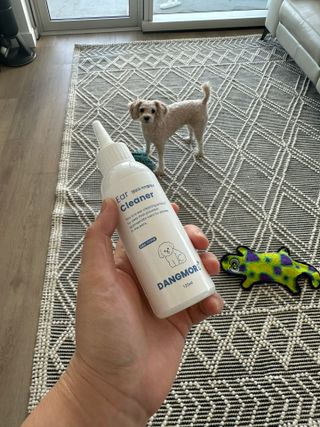 [댕모어 클리너 3종] 아이클리너 / 이어클리너 / 덴탈클리너 3종 세트 (120ml) — 5점을 준 리뷰어가 2023년 12월 올린 사용 사진