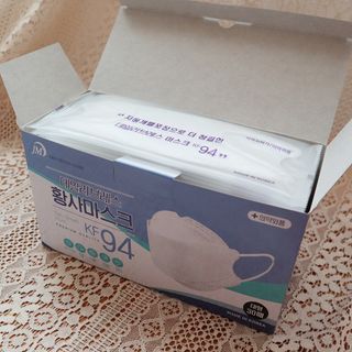 데일리브레스황사마스크KF94대형 데일리브레스 황사방역마스크 KF94 대형 — 5점을 준 리뷰어가 2021년 4월 올린 사용 사진