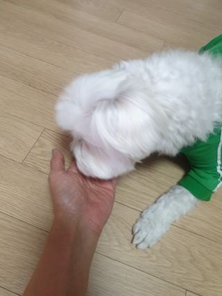 Zenithhappy님이 올린 리뷰 사진 3