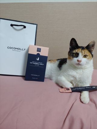 코코몰리 고양이 구강• 헤어볼 데일리 /신장• 요로 데일리 — 5점을 준 리뷰어가 2020년 12월 올린 사용 사진