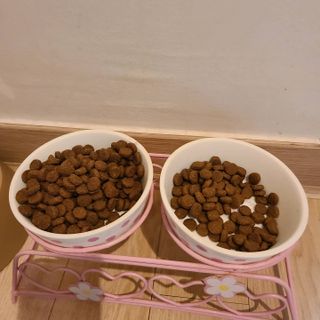 랴슈벨라님이 올린 리뷰 사진 2