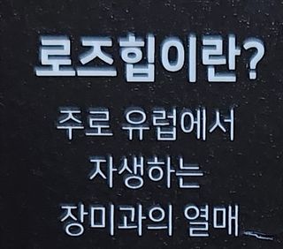쌍디아빠님이 올린 리뷰 사진 3