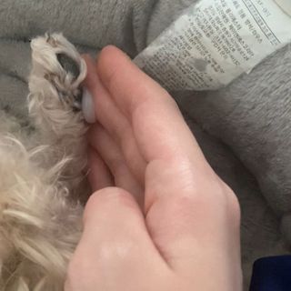 조이님이 올린 리뷰 사진 4