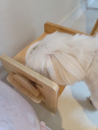 뽀블리님이 올린 리뷰 사진 4