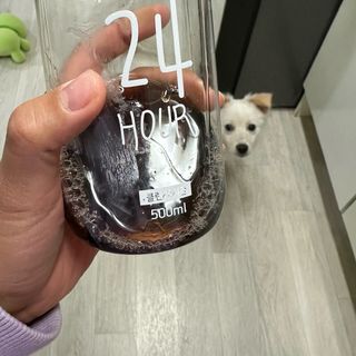 맛있는쿠키크림치즈님이 올린 리뷰 사진 2