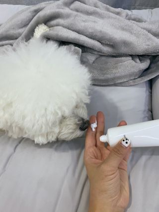 JENNY님이 올린 리뷰 사진 2