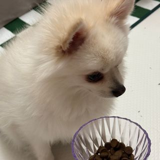 체리님이 올린 리뷰 사진 2