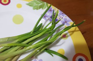 수아사랑님이 올린 리뷰 사진 2