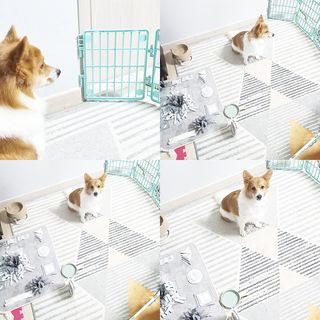 림림님이 올린 리뷰 사진 1