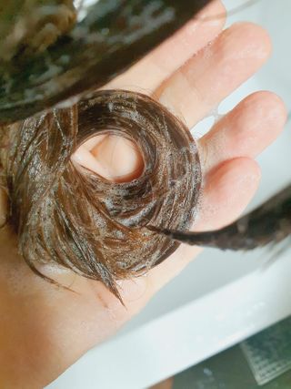 더마힐 헤어 컨디셔닝 샴푸 릴렉스 500ml — 5점을 준 리뷰어가 2021년 3월 올린 사용 사진