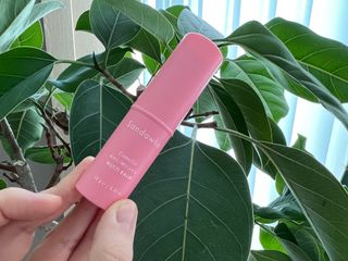 스킨큐어 산다화 카멜리아 안티 링클 멀티밤 — 4.5점을 준 리뷰어가 2023년 1월 올린 사용 사진