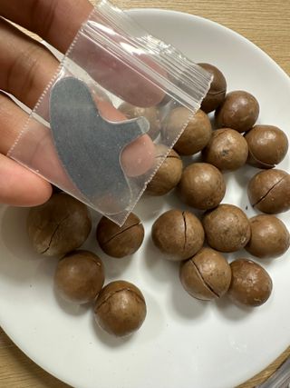 비나프렌즈 (구매평) 25년 햇 수확 알큰 프리미엄 껍질 까먹는 통 마카다미아 — 5점을 준 리뷰어가 2025년 8월 올린 사용 사진