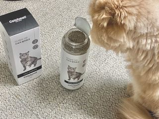 스노우볼토끼님이 올린 리뷰 사진 3