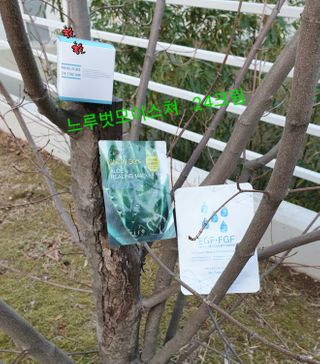 Dr.느루벗 느루벗 모이스쳐 24 크림 — 5점을 준 리뷰어가 2021년 1월 올린 사용 사진