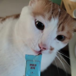 쓔리님이 올린 리뷰 사진 3