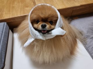 아롱이님이 올린 리뷰 사진 1