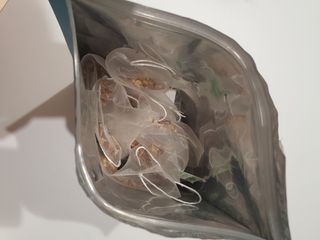 트루헬퍼 코목비책 작두콩 도라지 돌배 모과 생강 차 30티백 — 5점을 준 리뷰어가 2023년 3월 올린 사용 사진