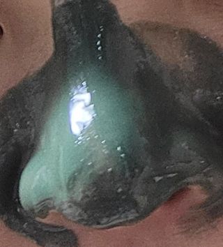 해바라기님이 올린 리뷰 사진 2