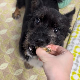최수완님이 올린 리뷰 사진 3