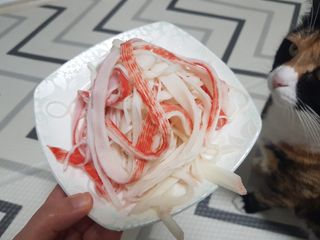 한성기업 와일드 크래미 — 5점을 준 리뷰어가 2021년 10월 올린 사용 사진