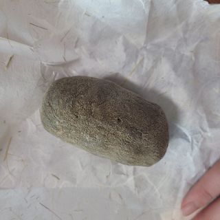 동그라미님이 올린 리뷰 사진 2