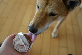 루비님이 올린 리뷰 사진 4