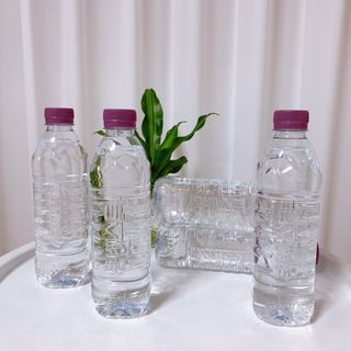 몽베스트 [MONTBEST]위드어스 500mL 20병 — 5점을 준 리뷰어가 2022년 10월 올린 사용 사진