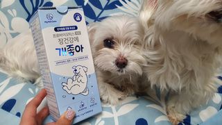 My Pet Care 장건강에 개좋아 — 5점을 준 리뷰어가 2021년 1월 올린 사용 사진