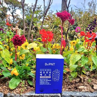 닥터피엔티 [Dr.PNT] 장내 환경 개선의 핵심, 프리바이오틱스! 비오프리 XO — 5점을 준 리뷰어가 2022년 11월 올린 사용 사진