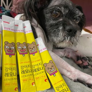 [레모나] 강아지 레모나 강아직 영양 간식 4종 택 1 — 5점을 준 리뷰어가 2024년 1월 올린 사용 사진