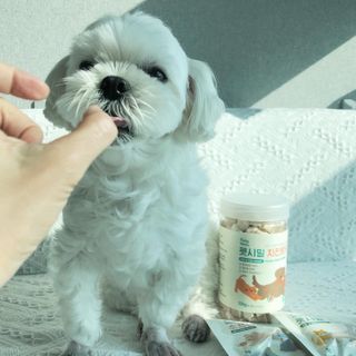 [펫시밀] 원물그대로 영양듬뿍 진공동결건조 북어트릿75g,치킨트릿100g,연어트릿75g 강아지 고양이 간식 — 5점을 준 리뷰어가 2023년 5월 올린 사용 사진