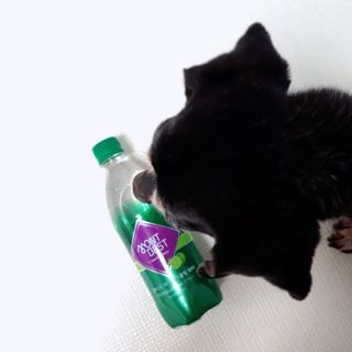 몽베스트 Montbest with Sparkling water Lime20병 — 5점을 준 리뷰어가 2022년 8월 올린 사용 사진