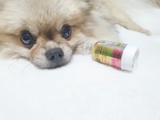 쑤닝님이 올린 리뷰 사진 1