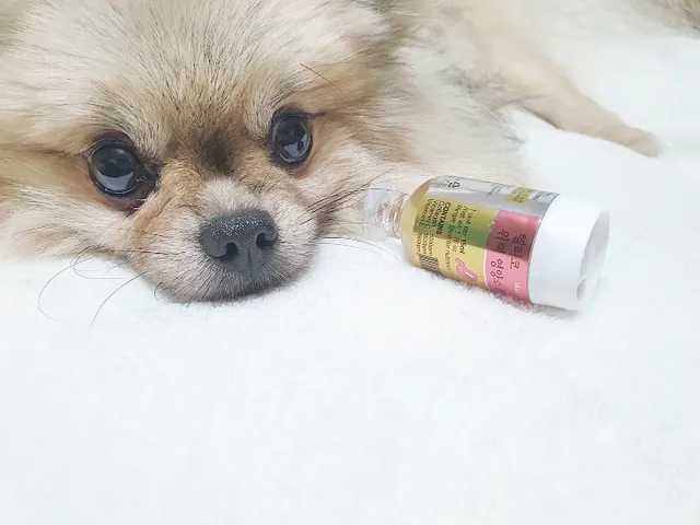 반려동물용 꽃으로만든영양제 헬리코디펜스 15ml 리뷰 사진