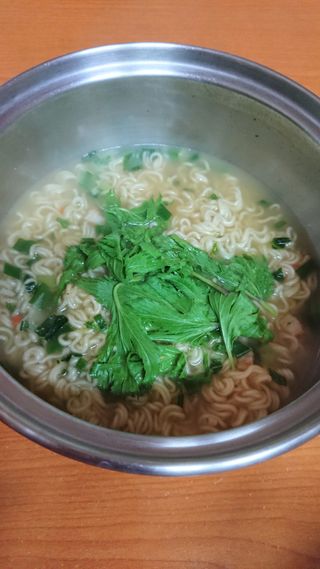 [풀무원] 자연은맛있다 정면, 백면, 홍면  세트 — 5점을 준 리뷰어가 2021년 4월 올린 사용 사진