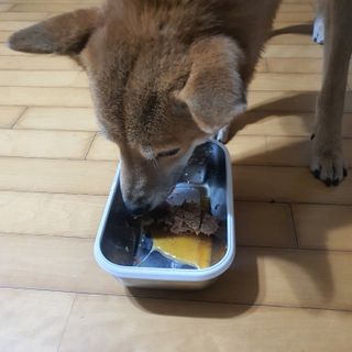 루비님이 올린 리뷰 사진 3