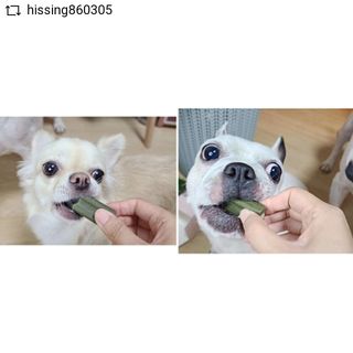 콩콩님이 올린 리뷰 사진 2