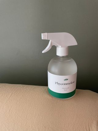 핸감자님이 올린 리뷰 사진 3