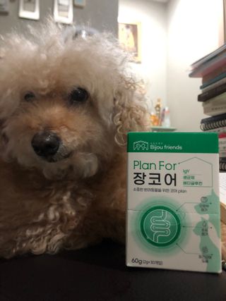 혜윰님이 올린 리뷰 사진 4